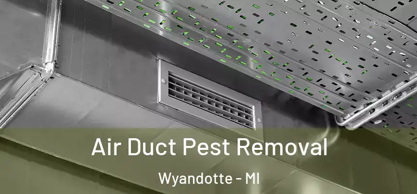  Air Duct Pest Removal Wyandotte - MI