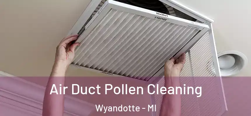 Air Duct Pollen Cleaning Wyandotte - MI