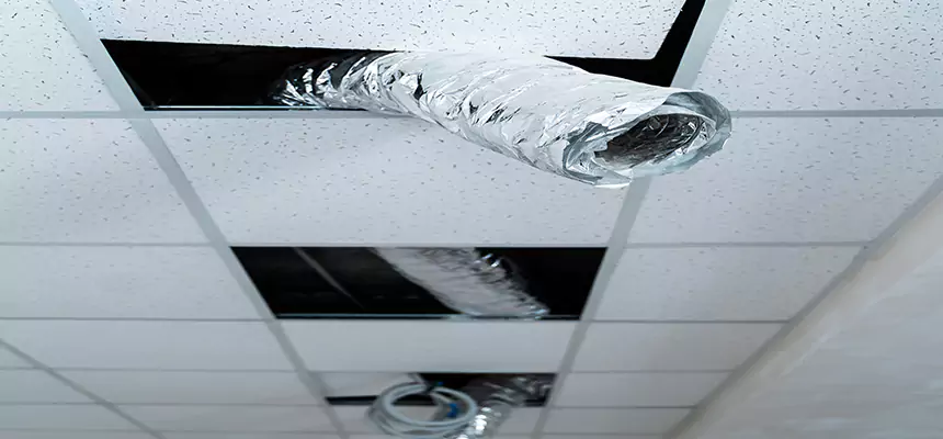 Affordable HVAC Sanitizing After Pest Removal in Wyandotte