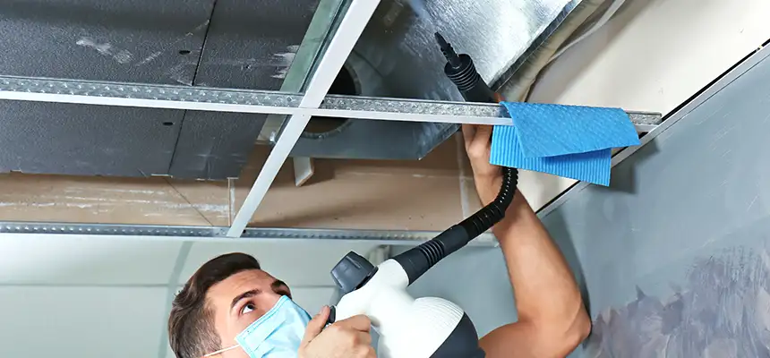 Our Air Duct Rodent Removal Services in Wyandotte, MI