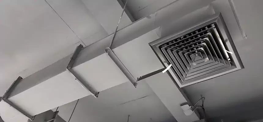 Our Pest Removal From Ducts Services in Wyandotte, MI