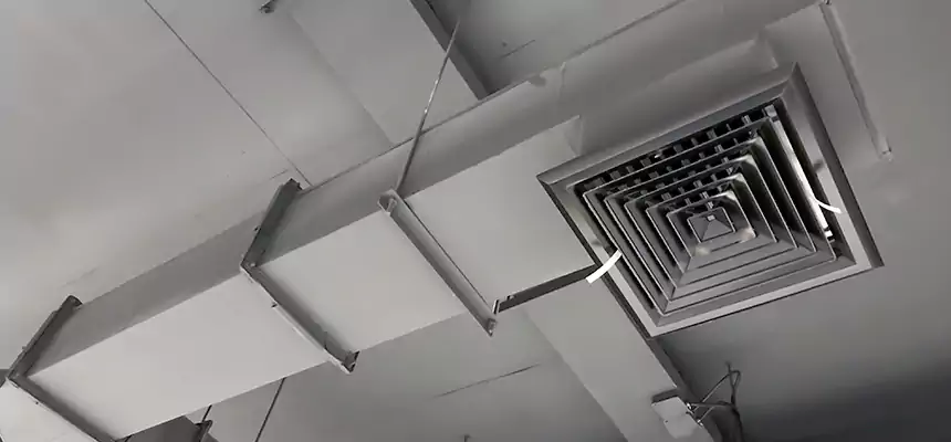 Our Rodent Droppings In Vents Services in Wyandotte, MI