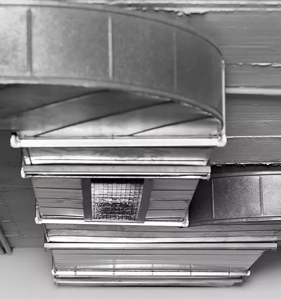 Professional Air Duct Pet Hair Removal in Wyandotte, MI