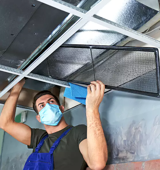 Professional Air Duct Pollen Cleaning in Wyandotte, MI