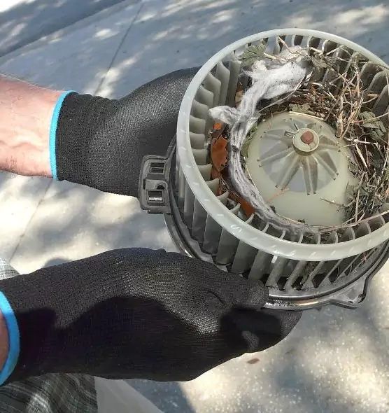 About Air Duct Rat Removal in Wyandotte, MI