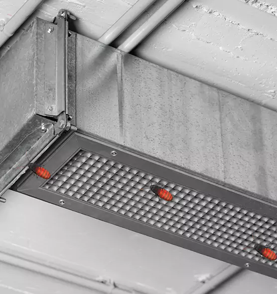 Affordable Insect Removal from Air Ducts in Wyandotte, MI