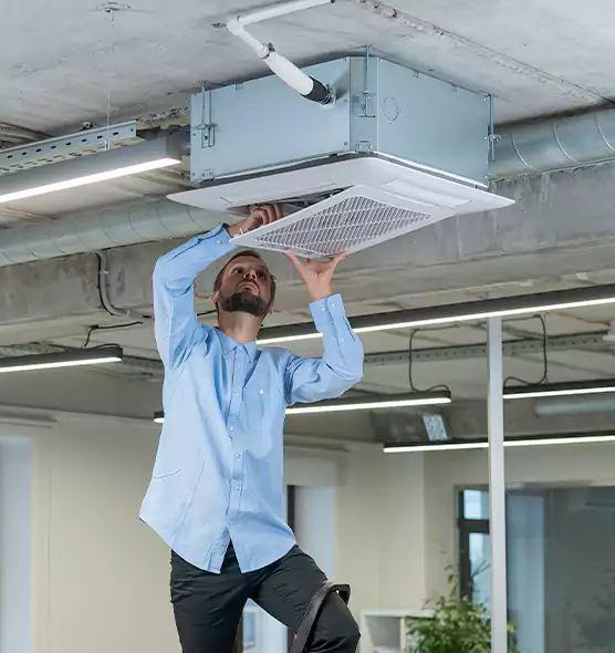 Advanced Rodent Droppings In Vents in Wyandotte, MI