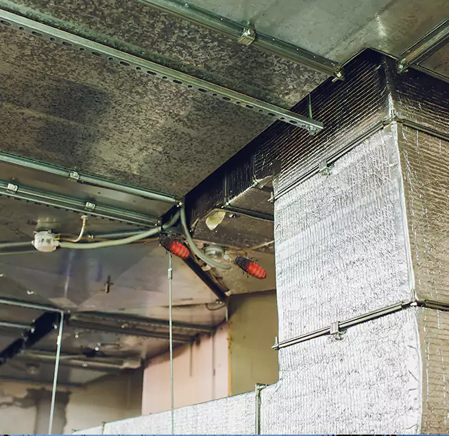 Why Homeowners & Businesses Trust Us in Wyandotte, MI?