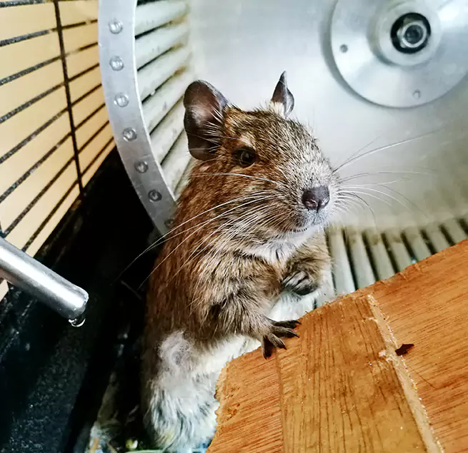 Why Homeowners & Businesses Trust Us Wyandotte, MI