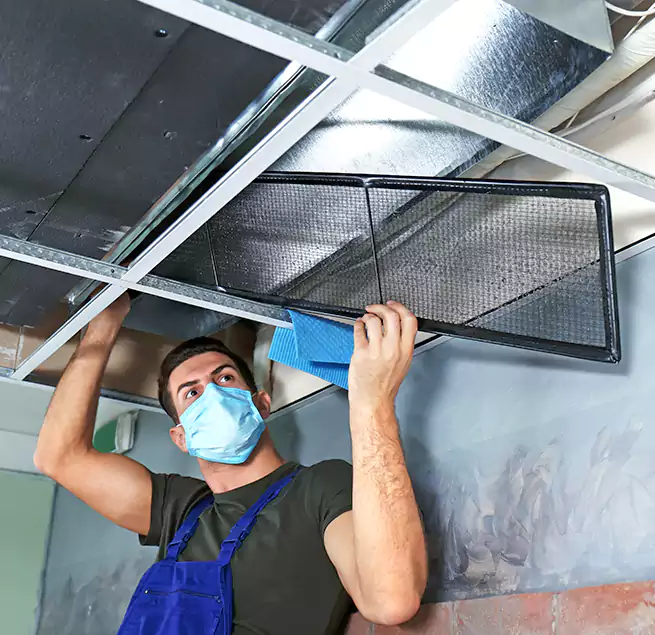 Why Homeowners Businesses Trust Us in Wyandotte, MI