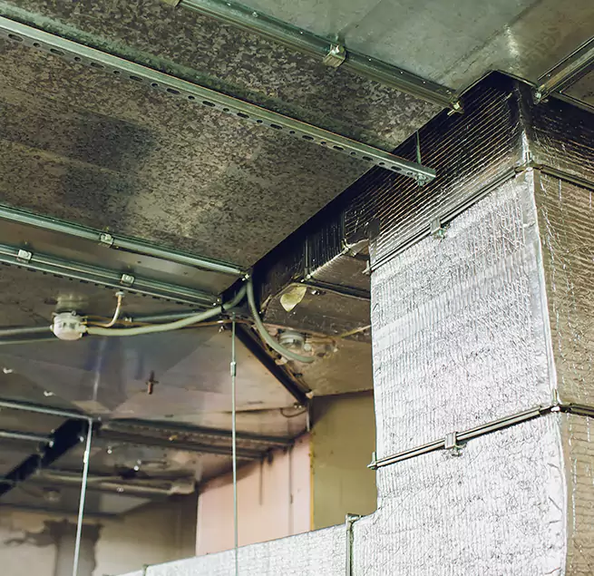 Why Homeowners & Businesses Trust Us in Wyandotte, MI?