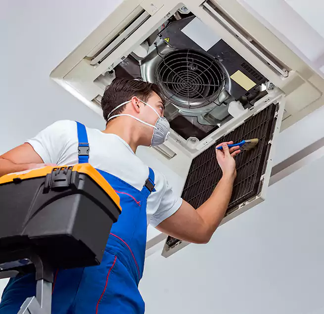 Why Homeowners & Businesses Trust Us in Wyandotte, MI?